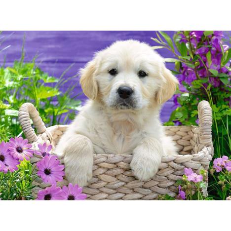 Sweet Golden Retriever 500pc Jigsaw Puzzle Extra Image 1